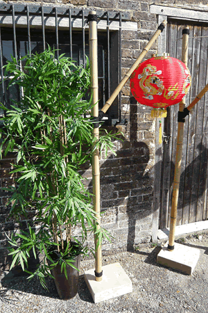 Chinese Lantern Decoration