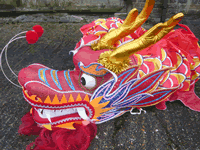 Dragon Dance Costume