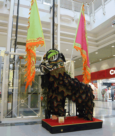 Lion Dance Display Costume