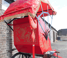 Pantomime Rickshaw Hire