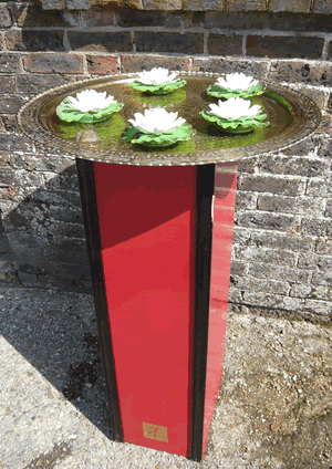 Floating Water Lillies Display